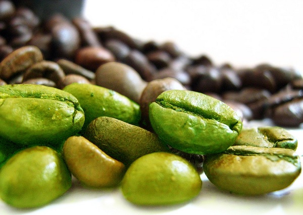 Chicchi di caffè verde e acido clorogenico